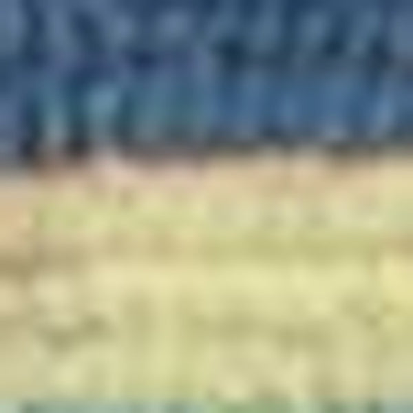 HomeRoots 8' Handmade Blue Striped Area Rug - Coastal-Inspired Design for Indoor & Outdoor Spaces, Durable Style 5' x 8' 352779