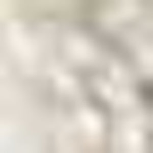 Homeroots 8' Ivory Wool Quatrefoil Hand Tufted Runner Rug  Wool 352812