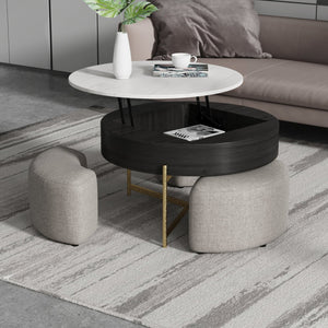 English Elm Vita Modern 31.5" Round Lift-Top Coffee Table Set with Iron Legs and Storage Shelves, Stylish Black,Light beige B341S00043