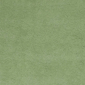 Homeroots 2' X 4' Spearmint Green Indoor Shag Rug  Polyester 353408