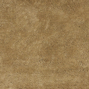 Homeroots 2' X 4' Polyester Gold Area Rug  Polyester 353425
