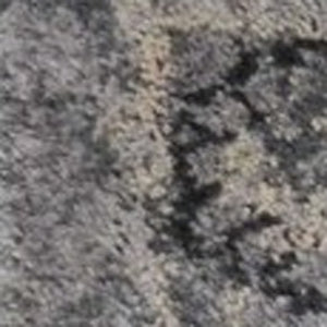 Homeroots 3' X 5' Gray Floral Area Rug  Polypropylene 353871