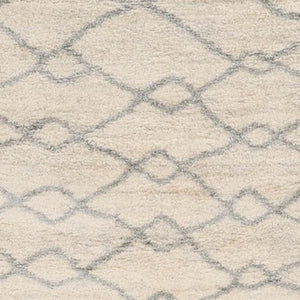 HomeRoots 5' Elegant Ivory and Gray Chain Area Rug - Durable, Stain-Resistant Design for Modern Spaces 4' X 6' 353906