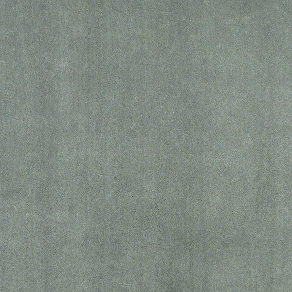 Homeroots 3' X 5' Slate Plain Area Rug  Polyester 353928