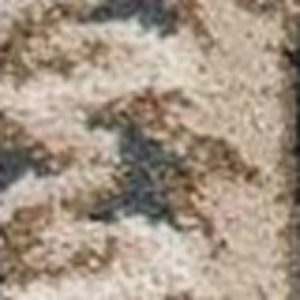 HomeRoots 8' Slate Blue Red Ivory Floral Medallion Rug – Timeless Elegance, Durable, Stain-Resistant Design 5' X 8' 354042