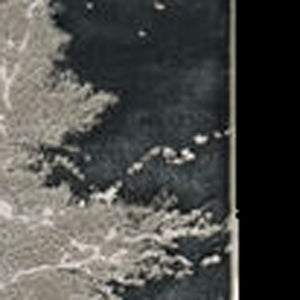 HomeRoots 8' Modern Silver and Black Abstract Area Rug - Stylish, Durable, Easy-Care Design for Busy Homes 7' X 10' 354139