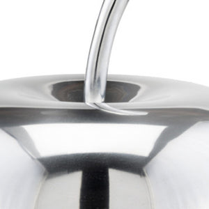 Homeroots 13" Silver Buffed Aluminum Decorative Apple Tabletop Sculpture  Buffed Aluminum 354642