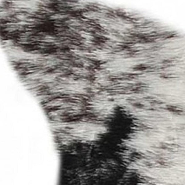 HomeRoots 5' X 8' Black And White Faux Fur Cowhide Area Rug - Luxurious, Washable, Modern Design for Any Space 358152