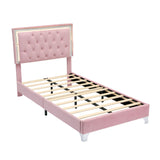 English Elm Twin Size Upholstered Bed Frame With Led Lights,Modern Velvet Platform Bed With Tufted Headboard,Pink