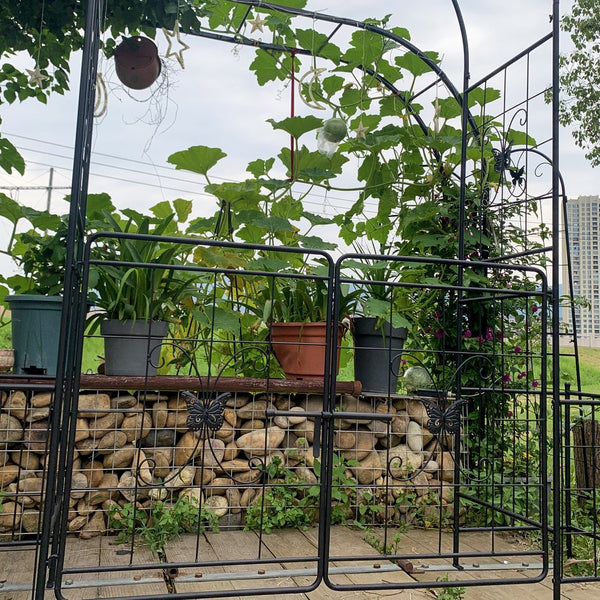 English Elm Garden Arch Arbor Trellis With Gate - Durable Metal Design For Climbing Plants, Weddings & Patios W840P321539