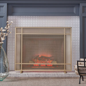 English Elm Christopher Knight Home® - FIRE Markus Modern Single Panel Iron Firescreen with Brushed Silver Finish, Minimalist Mesh Guard Gold 65183.00GLD