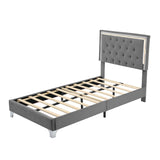 English Elm Twin Size Upholstered Bed Frame With Led Lights,Modern Velvet Platform Bed With Tufted Headboard,Grey