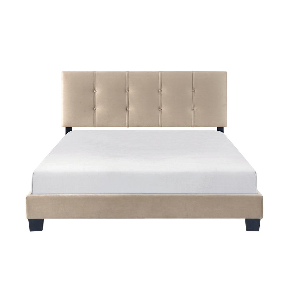 English Elm 1pc Queen Platform Bed Brown Velvet Upholstered with Button Tufted Adjustable Headboard, Low-Profile Solid Wood Frame 42" H Light Brown 65.5 L x 26 W x 5 H B011P203573