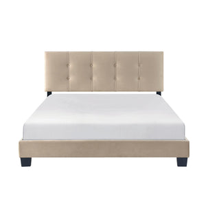 English Elm 1pc Queen Platform Bed Brown Velvet Upholstered with Button Tufted Adjustable Headboard, Low-Profile Solid Wood Frame 42" H Light Brown 65.5 L x 26 W x 5 H B011P203573