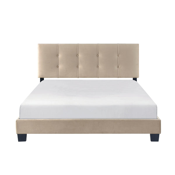 English Elm 1pc Queen Platform Bed Brown Velvet Upholstered with Button Tufted Adjustable Headboard, Low-Profile Solid Wood Frame 42" H Light Brown 65.5 L x 26 W x 5 H B011P203573