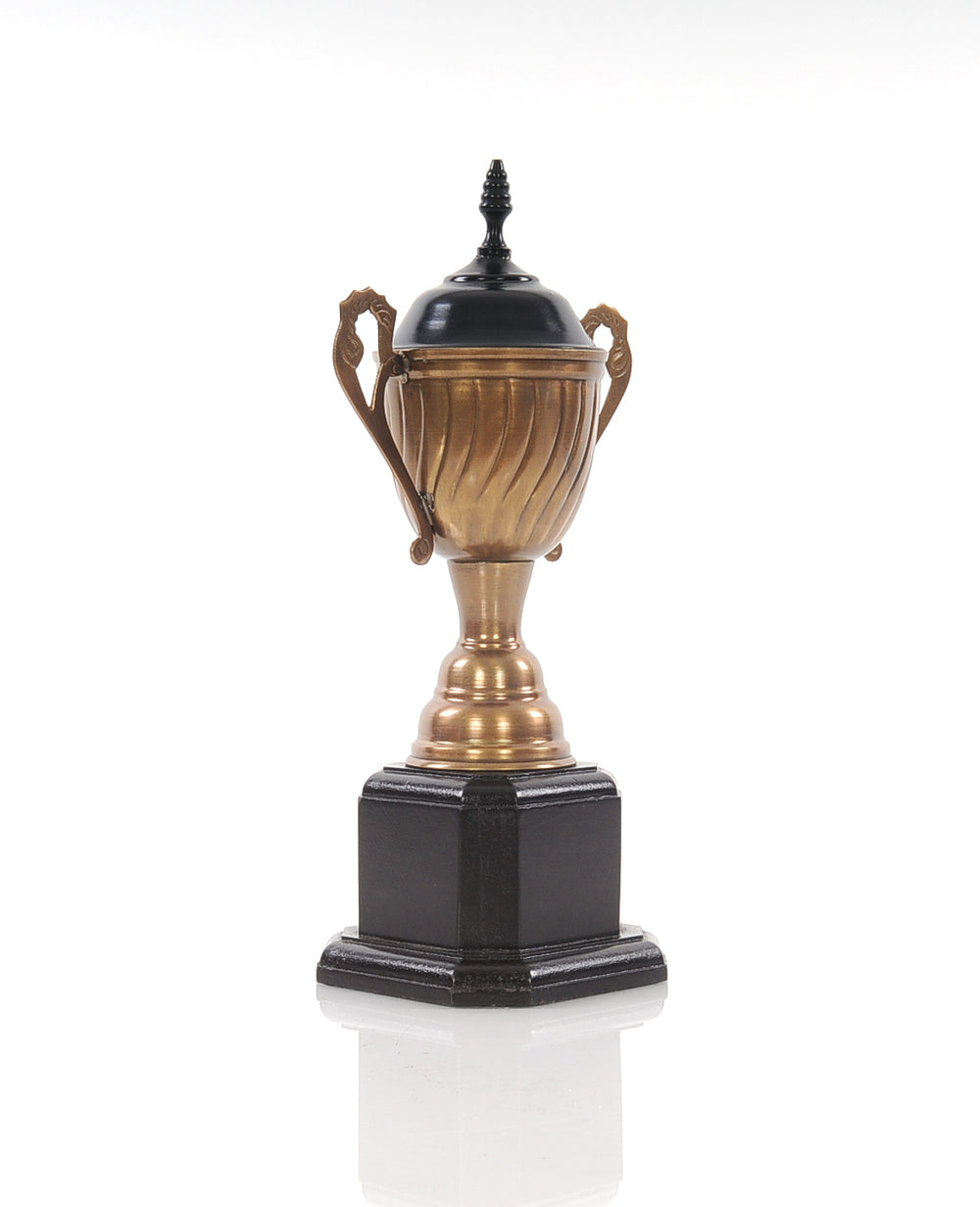 Homeroots 6.5" X 4.5" X 12.5" Alum Wooden Trophy Big  Metal 364217