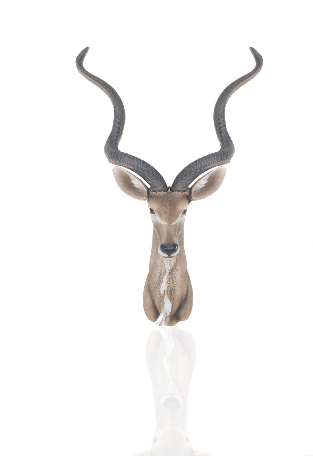 Homeroots 13" X 9" X 33" Antelope Head Wall Decorative  Resin 364241