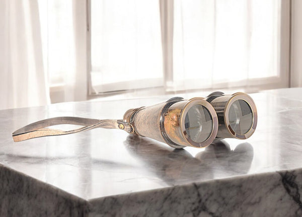 Homeroots Rustic Brass And Leather Binoculars In Wood Storage Box  Metal 364324