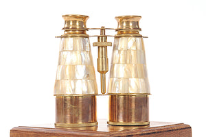 Homeroots Elegant Brass And Mother Of Pearl Binoculars In Wooden Storage Box  Metal 364326