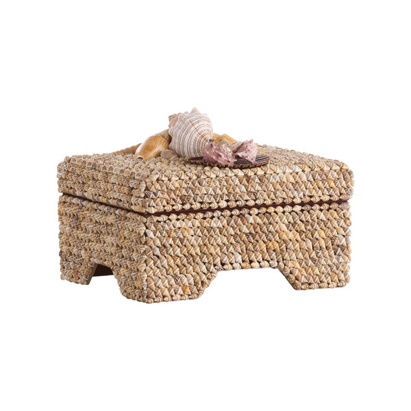 Chelsea House Island Shell Box With Hand-Applied Nassa & Assorted Shells, Fabric-Lined Removable Lid, 6.5X8.5" 370478