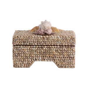 Chelsea House Island Shell Box With Hand-Applied Nassa & Assorted Shells, Fabric-Lined Removable Lid, 6.5X8.5" 370478