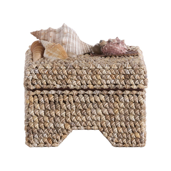 Chelsea House Island Shell Box With Hand-Applied Nassa & Assorted Shells, Fabric-Lined Removable Lid, 6.5X8.5" 370478