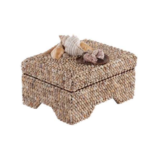 Chelsea House Island Shell Box With Hand-Applied Nassa & Assorted Shells, Fabric-Lined Removable Lid, 6.5X8.5" 370478