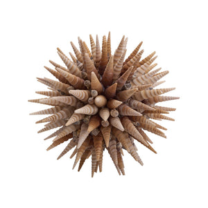 Chelsea House Marlin Handcrafted Shell Ball 10" Coastal Decorative Accent In Natural Brown & White For Tableshelves 370479