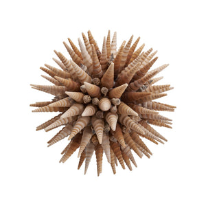 Chelsea House Marlin Handcrafted Shell Ball 10" Coastal Decorative Accent In Natural Brown & White For Tableshelves 370479