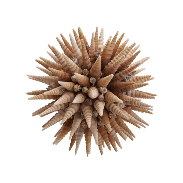 Chelsea House Marlin Handcrafted Shell Ball 10" Coastal Decorative Accent In Natural Brown & White For Tableshelves 370479