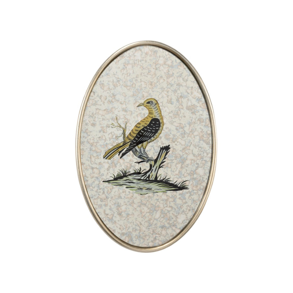 Chelsea House Oval Antiqued Mirrored Bird Plaque By Bill Cain — Hand-Painted Vintage Silver-Leaf Mirror Accent, 15X10 370572