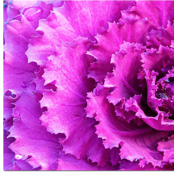 HomeRoots 94.5" Stunning Acrylic Painting - Contemporary Floral Art for Modern Spaces, Easy to Hang Decor 372139