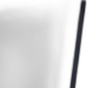 Homeroots 57" Black Rectangle Cheval Standing Metal Mirror - Elegant Full-length Design For Any Space  Metal,Solid Wood 372955