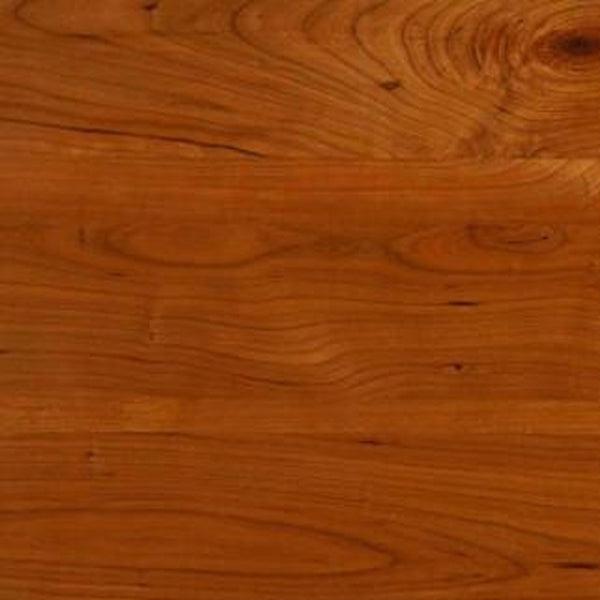 Homeroots 72" Brown Solid Wood Enclosed And Open Storage Tv Stand  Solid Wood 373925