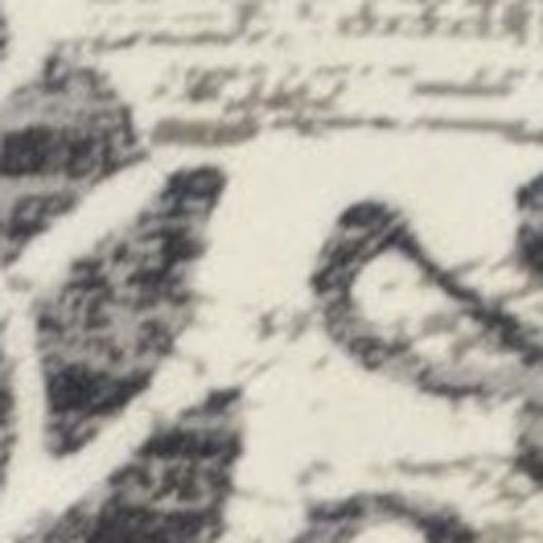 Homeroots 10' X 13' Gray And Ivory Floral Area Rug  Polypropylene 374512