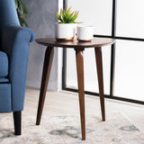 Christopher Knight Home® - Noble House - Hoyt Walnut Wood End Table