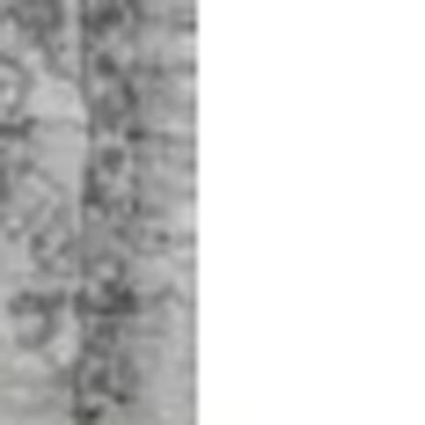 Homeroots 9' X 13' Gray Floral Vines Hand Loomed Distressed Area Rug  Viscose 374762