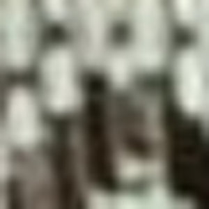 Homeroots 5' X 8' Brown Southwestern Indoor Outdoor Area Rug  Polypropylene 375224