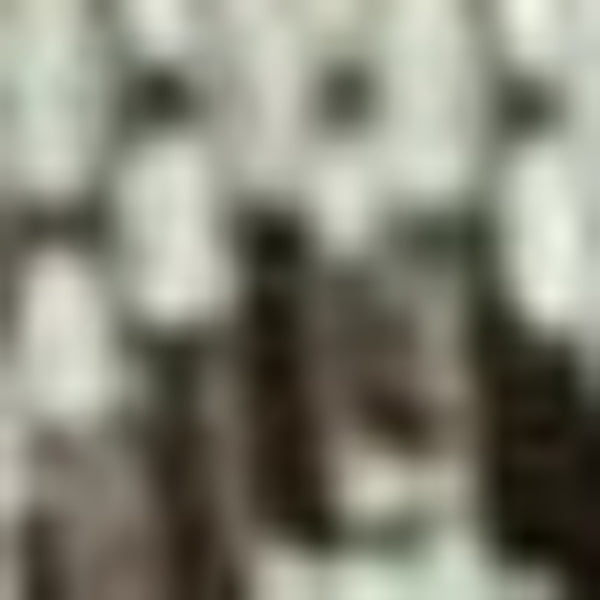 Homeroots 5' X 8' Brown Southwestern Indoor Outdoor Area Rug  Polypropylene 375224