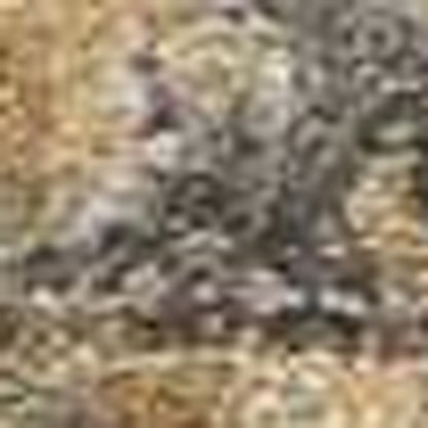 Homeroots 3' X 5' Coffee Brown Machine Woven Floral Medallion Indoor Area Rug  Wool 375292