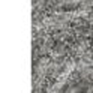 HomeRoots 8' Gray and Dark Gray Hand-Tufted Wool Area Rug - Modern Abstract Design for Elegant Spaces 8' X 10' 375365