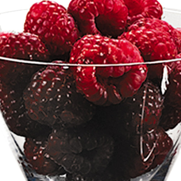 Homeroots Mouth Blown Crystal Set Of 4 Martini Or Dessert Servers  6 Oz   375718