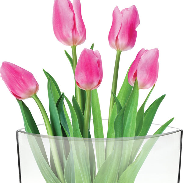 Homeroots 11 Mouth Blown Crystal European Made Pocket Shaped Vase  Lead Free Crystal 375822