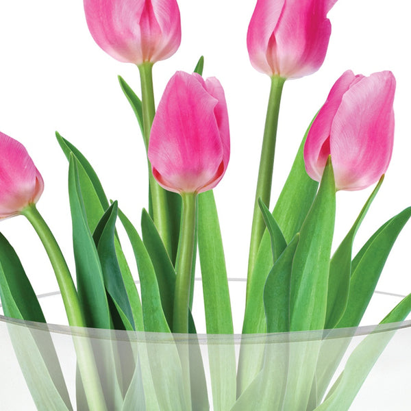 Homeroots 11 Mouth Blown Crystal European Made Pocket Shaped Vase  Lead Free Crystal 375822