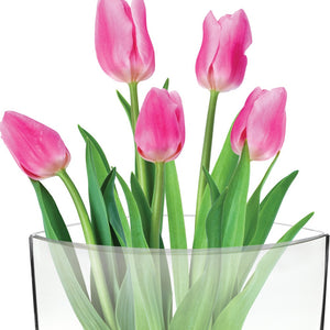 Homeroots 11 Mouth Blown Crystal European Made Pocket Shaped Vase  Lead Free Crystal 375822