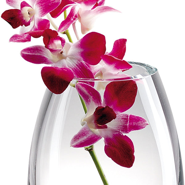 Homeroots 9 Mouth Blown Crystal European Made Vase  Lead Free Crystal 375823