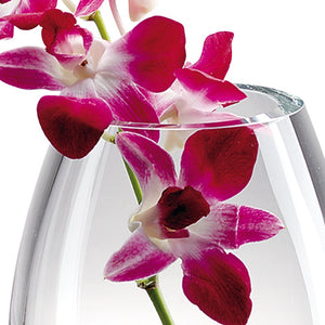 Homeroots 9 Mouth Blown Crystal European Made Vase  Lead Free Crystal 375823