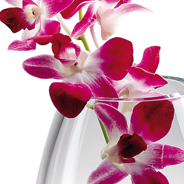 Homeroots 9 Mouth Blown Crystal European Made Vase  Lead Free Crystal 375823