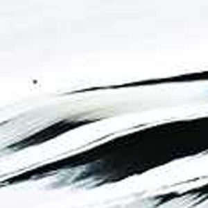 Homeroots 10" Mouth Blown Crystal European Made Crystal Bowl   375835