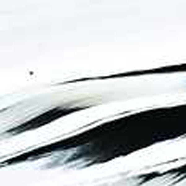 Homeroots 10" Mouth Blown Crystal European Made Crystal Bowl   375835